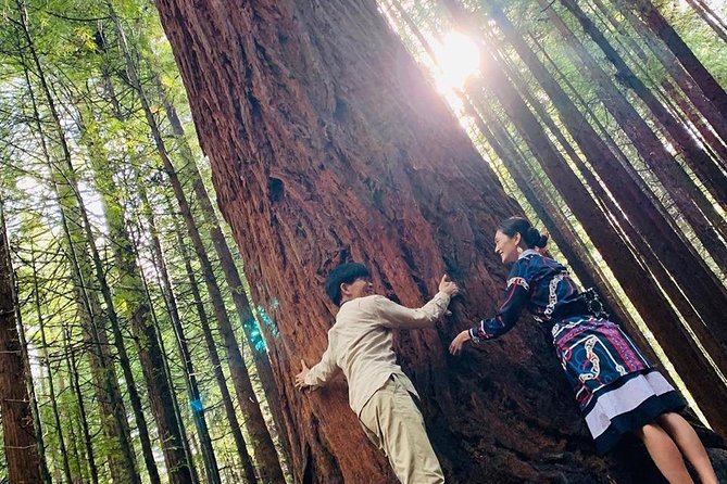 Blue Springs and Redwood Forest and Huka Falls Private Tour - The Sum Up