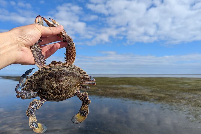 Blue Swimmer Crab Catch and Dine (At the Restaurant) - Pricing, Terms, and Contact Information