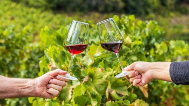 Blue Zone: Tour Among the Secrets of Sardinians Longevity - Culinary Experiences and Local Cuisine