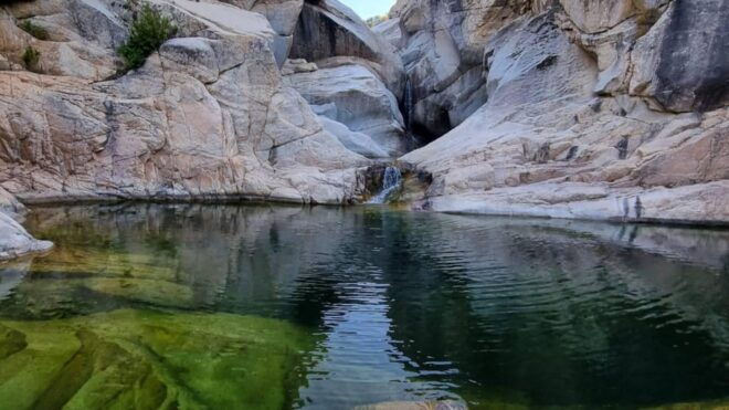 Blue Zone: Tour Among the Secrets of Sardinians Longevity - Cultural Immersion Activities