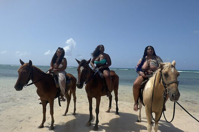 Bluehole, Horseback Riding and Souvenir Shopping from Montego Bay - Starting Point: Montego Bay Pickup & Transportation