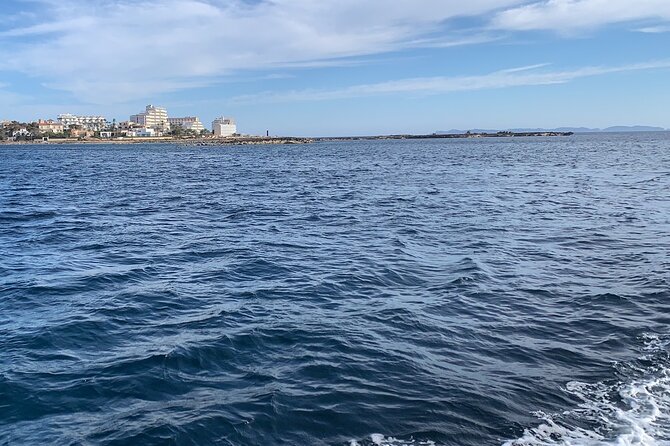 Bluemarine.Me Bayliner Boat Tour in Rotes Velles With Swim Stop - Accessibility and Transportation
