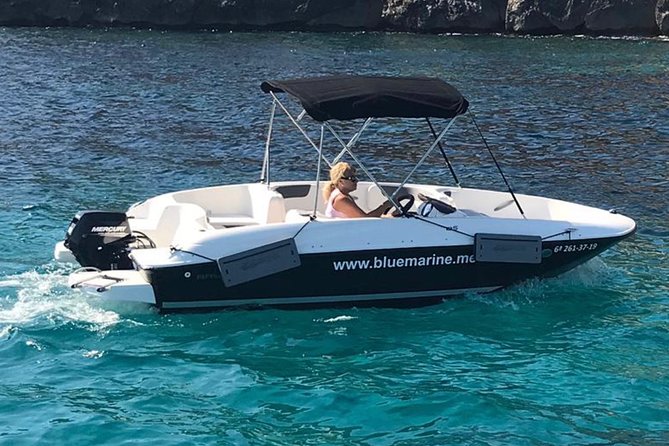 Bluemarine.Me License Free Bayliner Element E5 Rental - Overview
