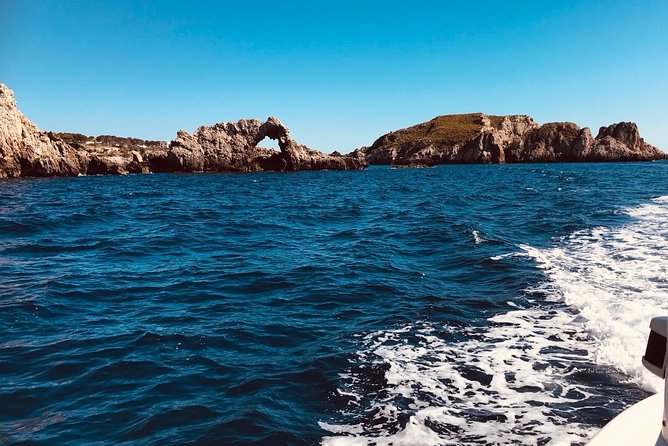 Bluemarine.Me License Free Bayliner Element E5 Rental - Contact Information