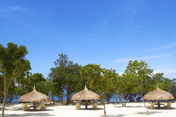 Bluewater Panglao Beach Resort Day Use in Bohol - Bluewater Panglao day pass at a glance