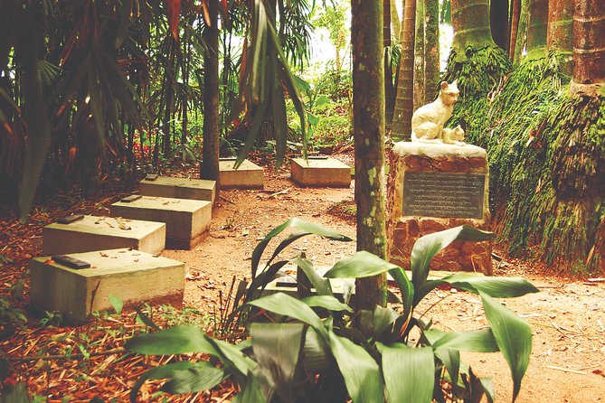 Blumenau City Tour - Departing From Florianópolis - Meeting and Pickup Details