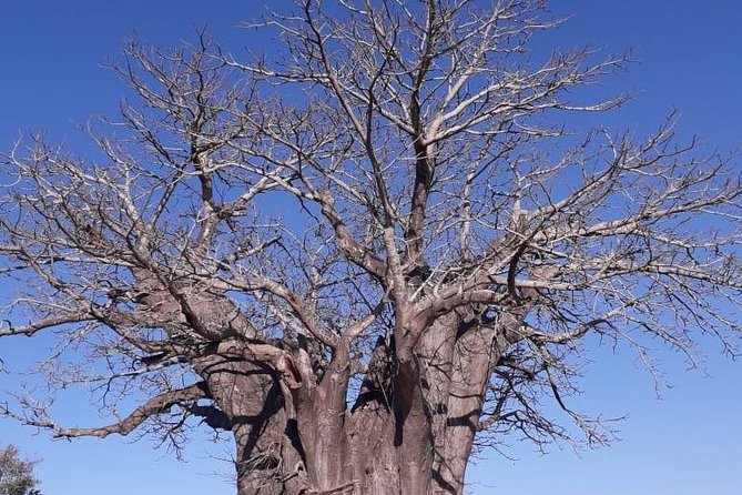 Blyde River Canyon Small-Group Guided Hike and Panorama Tour  - Hazyview - Questions and Help Center