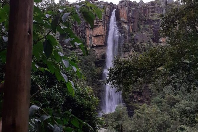 Blyde River Canyon Small-Group Guided Hike and Panorama Tour  - Hazyview - Pricing and Terms
