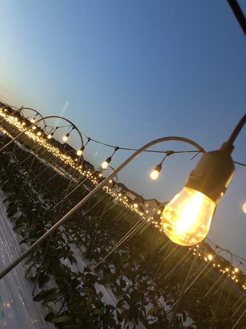 BNR NIGHT FARM 2024 - Access and Transportation