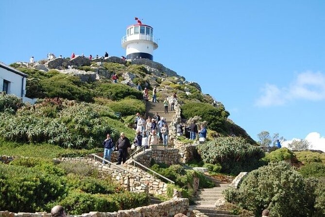 Bo Kaap Cape Point Penguins at Boulders Beach Cape Town - Bo Kaap: Vibrant Colors and Rich History