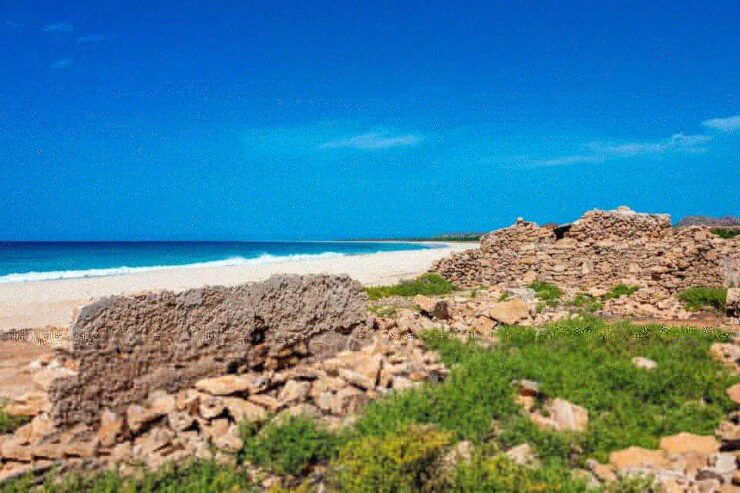 Boa Vista Full Day 4x4 Island Tour With Beachfront Lunch - Good To Know