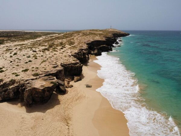 Boa Vista: Full-Day Island Tour - The Sum Up