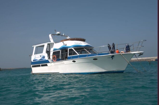 Boa Vista: Full-Day Whale Watching Tour - Inclusions