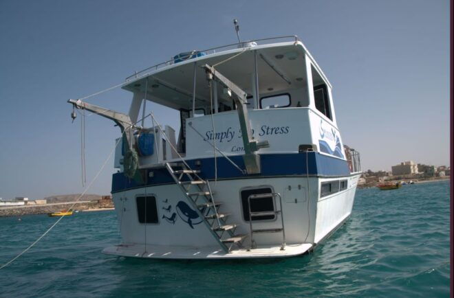 Boa Vista: Half-Day Whale Watching Tour - Important Information