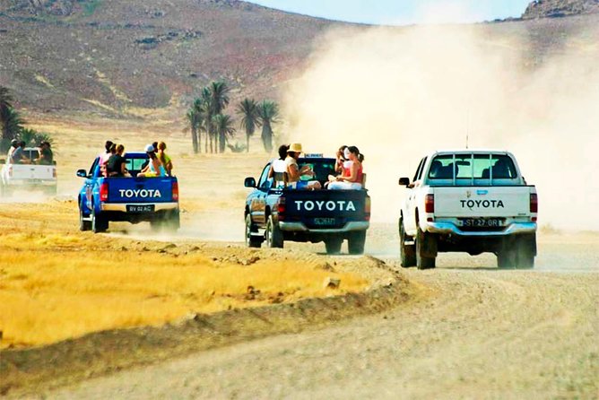 Boa Vista Island: 4-Hour Rabil, Viana Desert & Shipwreck Tour - Guides Knowledge and Friendliness
