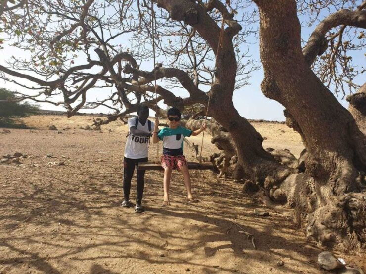 Boa Vista Island: Full-Day Wild Beaches & Viana Desert Tour - Good To Know