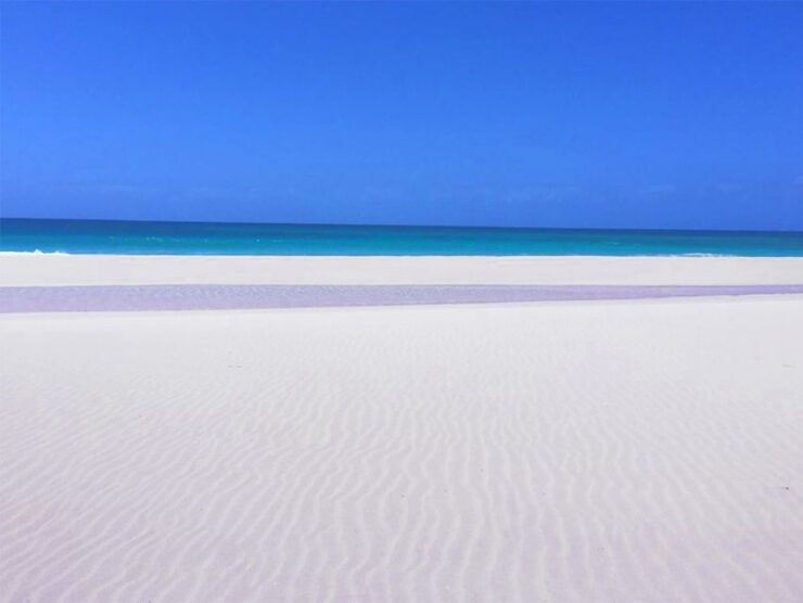 Boa Vista Island: Half-Day Quad Tour to Santa Monica Beach - Tour Details