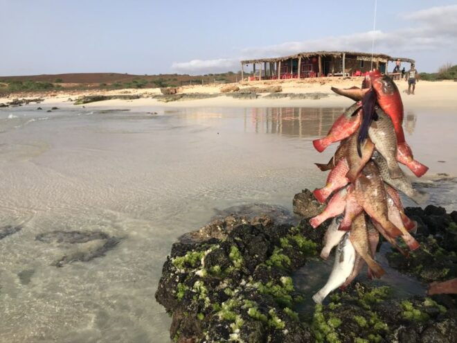 Boa Vista: Lobster Lunch at Santa Monica Beach - Pickup Information