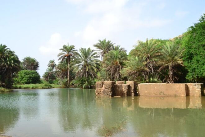 Boa Vista: Rabil, Shipwreck, Sal Rei & Beach Bar 4x4 Tour - Important Information