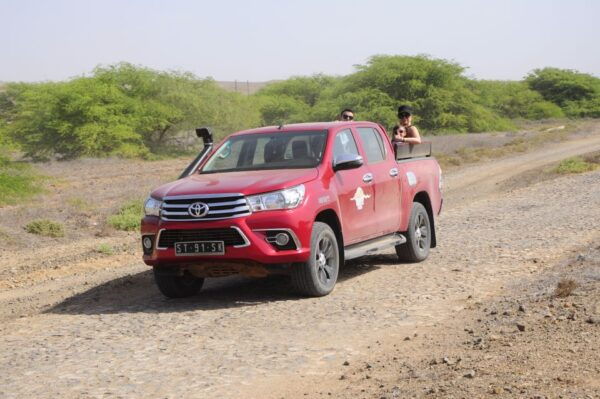 Boa Vista: Rabil, Shipwreck, Sal Rei & Beach Bar 4x4 Tour - The Sum Up
