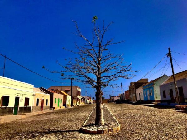 Boa Vista: Santa Monica, Dunes, Caves and Village 4x4 Tour - Customer Reviews