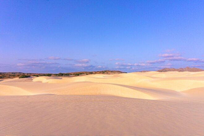 Boa Vista: Viana Desert Quad Bike Adventure - The Sum Up
