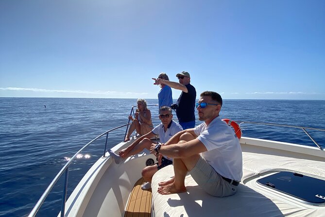 Boat Adventure From Tenerife South - Cruise Details and Itinerary