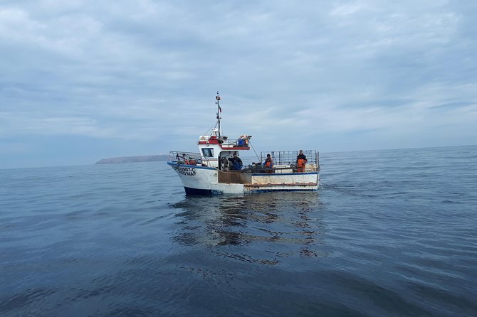 Boat and Kayak at Berlenga Natural Reserve - Tour Details and Accessibility