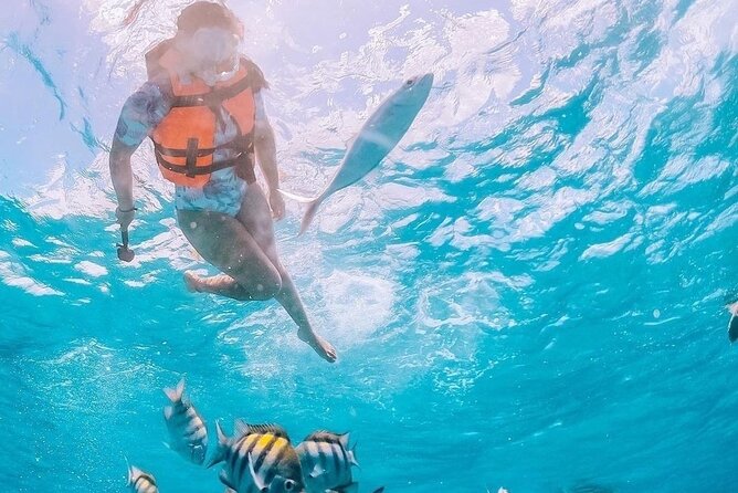 Boat and Snorkel Tour to 5 Islands of Los Arcos - Tour Details and Logistics
