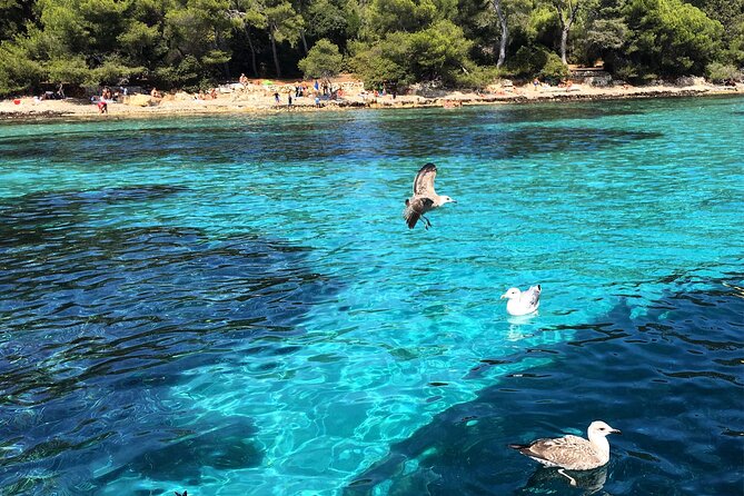 Boat Charter in Cannes Lerins Islands - Leo Boat - Reviews
