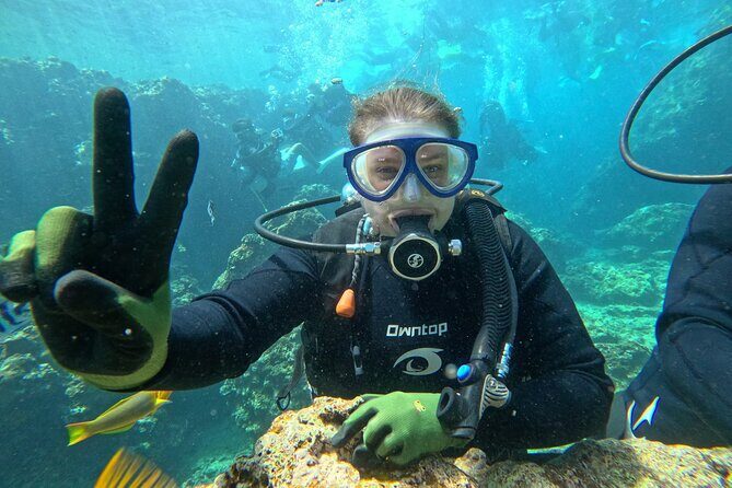 Boat entry diving at the Blue Cave in Onna Village, Okinawa! - FAQ