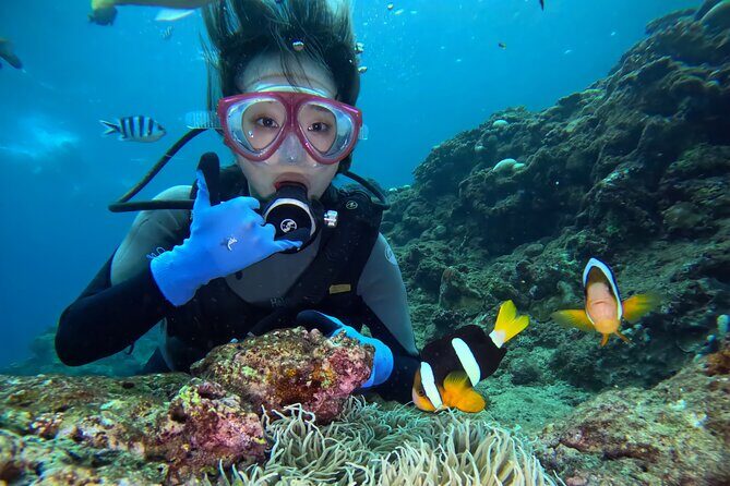 Boat entry diving at the Blue Cave in Onna Village, Okinawa! - Why Choose the Boat Entry Experience in Okinawa?
