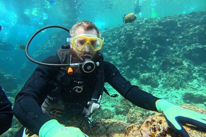 Boat entry diving at the Blue Cave in Onna Village, Okinawa! - The Sum Up