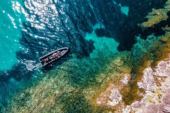 Boat Excursion - Cannes Esterel Coves Insight – 1H30 - Common Questions