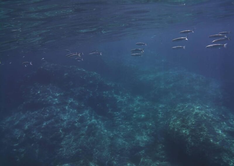 Boat excursion Giardini Naxos Taormina with swimming break - Good To Know