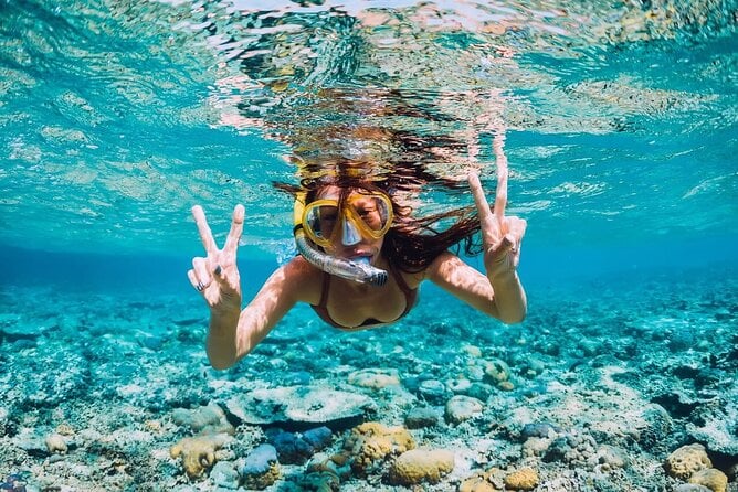 Boat Excursion in Ibiza With All Inclusive - Review Examples