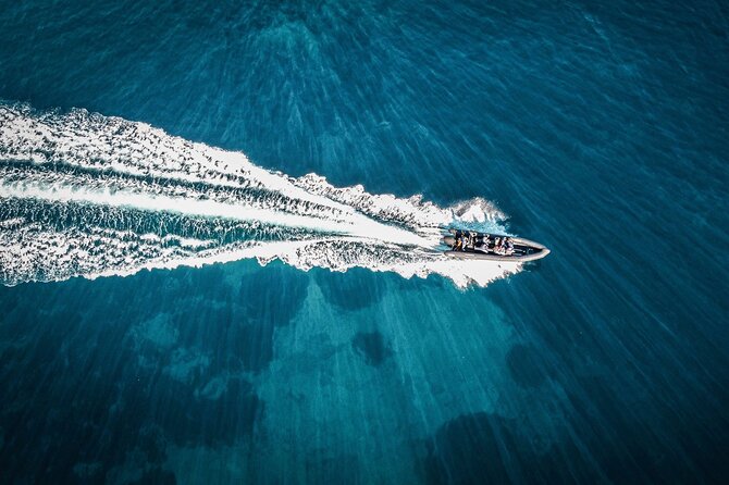 Boat Excursion - Nice/St Jean Cap Ferrat 1H30 - The Sum Up