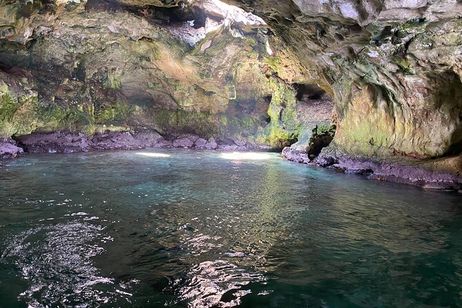 Boat Excursion to Polignano a Mare Between Caves and Coves - Rave Reviews and Ratings