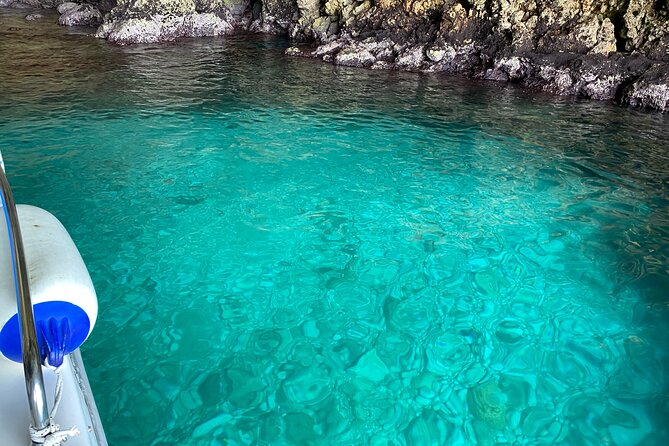 Boat Excursion to Polignano a Mare Between Caves and Coves - Pricing and Booking Information