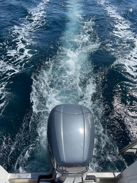 Boat Excursion to the Gulf of Cagliari and Its Coves - Customer Feedback