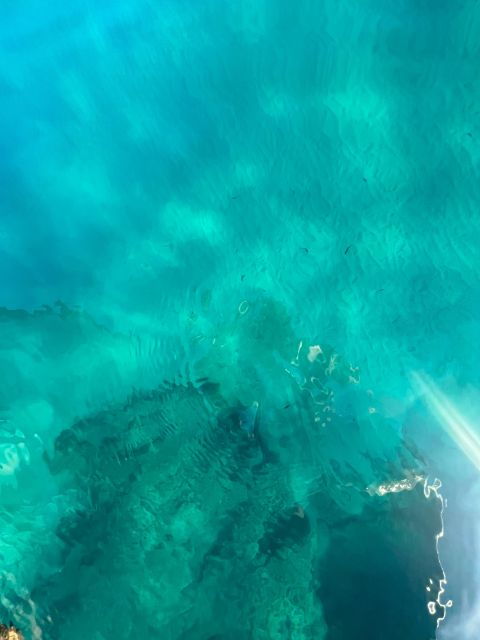Boat Excursions in Cefalu - Important Information and Requirements