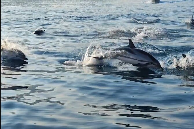 Boat Excursions Taormina Giardini Naxos Beautiful Island - The Sum Up