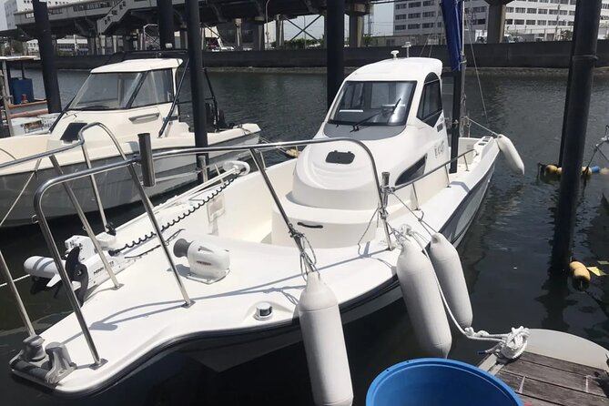 Boat Fishing Activity in Central Tokyo - Travel Directions and Recommendations