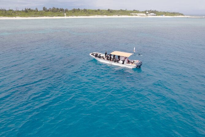 Boat Fundive 2Dives at Minna Isl or Sesoko , Okinawa - Fees and Equipment