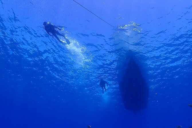 Boat Fundive 2Dives at Minna Isl or Sesoko , Okinawa - Inclusions