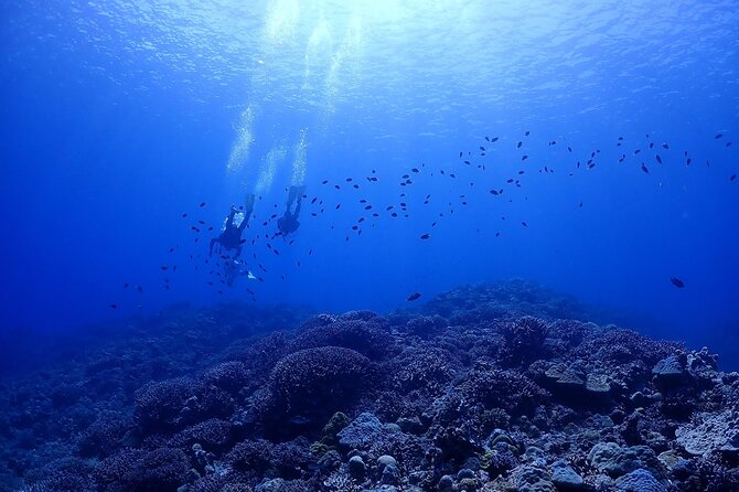 Boat Fundive 2Dives at Minna Isl or Sesoko , Okinawa - Meeting and Pickup