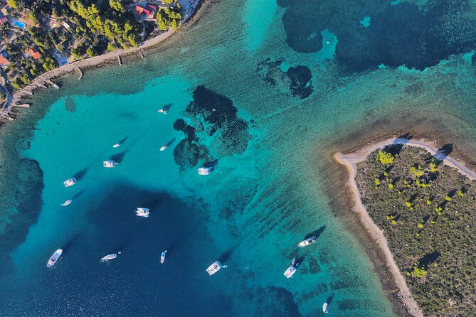 Boat Party Split - Reviews and Customer Feedback