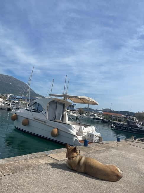 Boat Rental in Marina Bar Montenegro - An In-Depth Look at the Boat Rental Experience