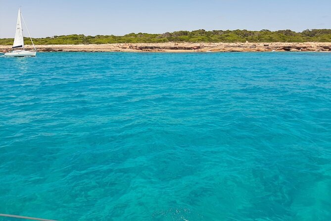 Boat Rental in the Coast of Santa Ponsa - Pricing and Booking Details