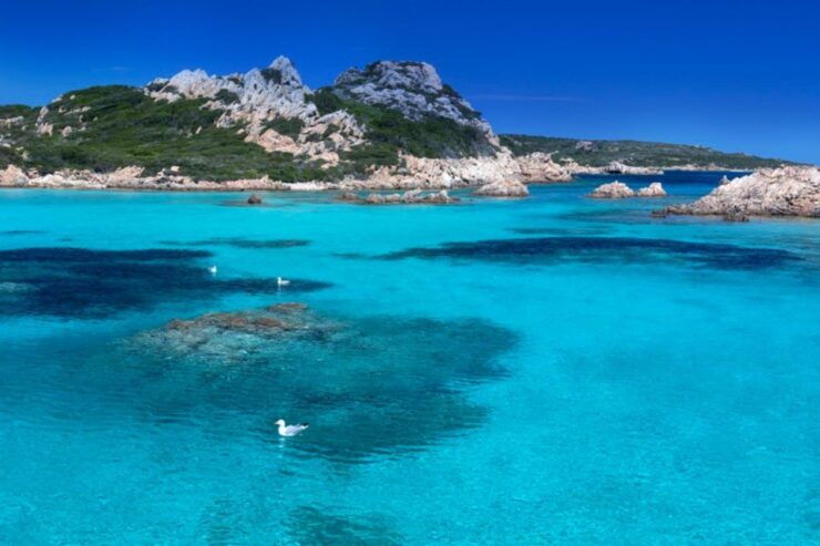 Boat Rental: La Maddalena Archipelago/Palau/Costa Smeralda - Multilingual Instructor Available